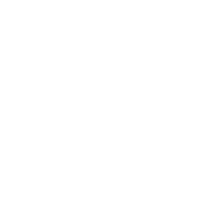 Plato icon
